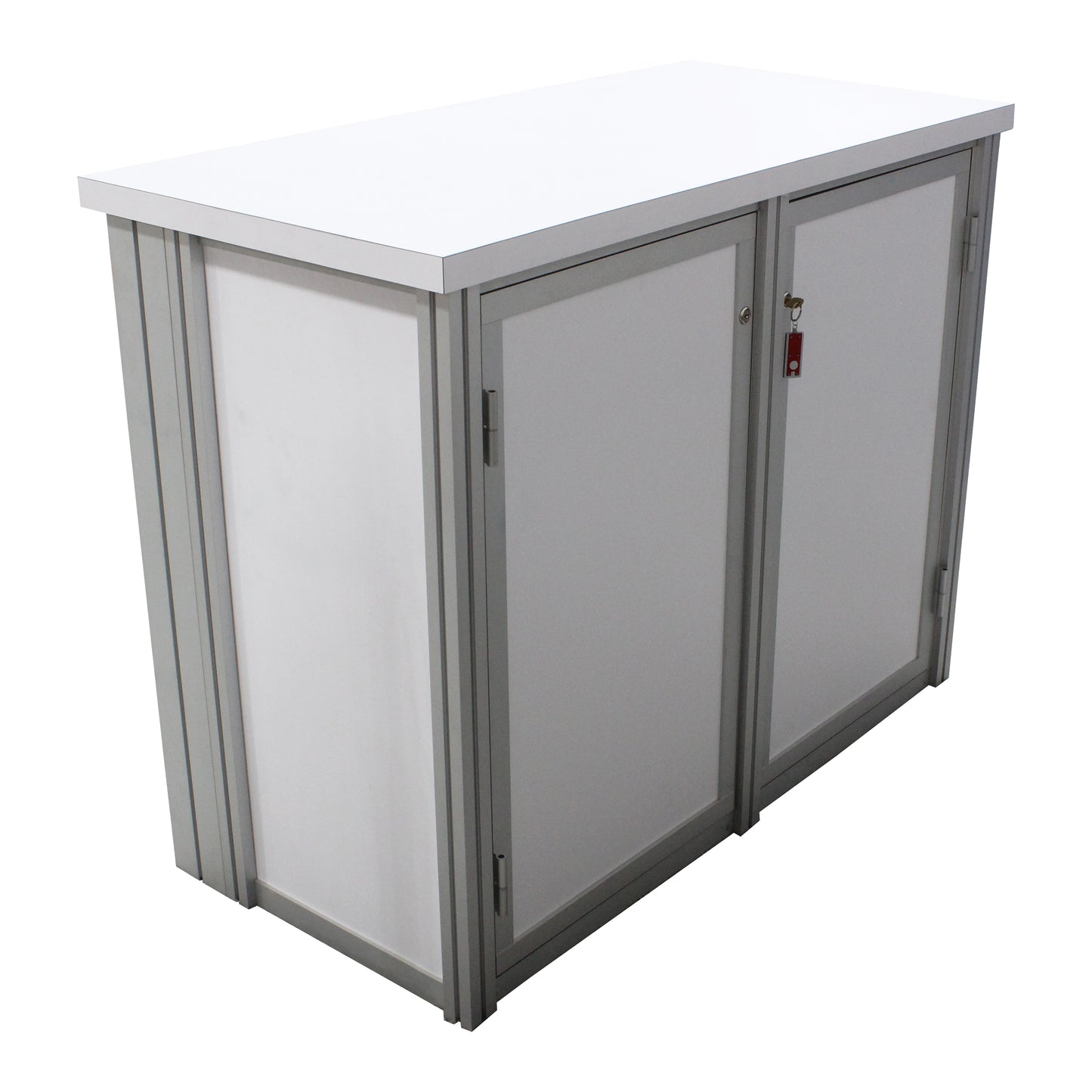 MOD-1700 Backlit Counter