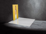 ZILLA PHANTOM SERIES FABRIC DISPLAY. 5x8